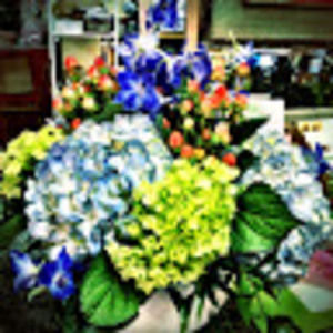 Meet your Posher, Mark